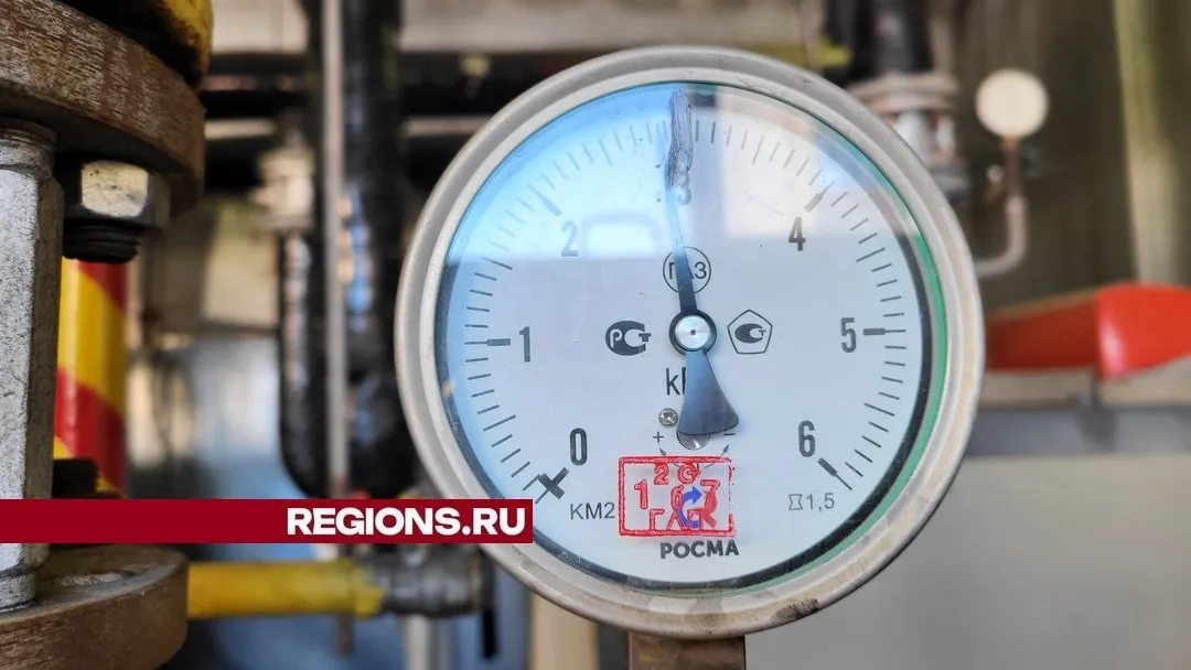 Фото: REGIONS/Александр Дрожжин
