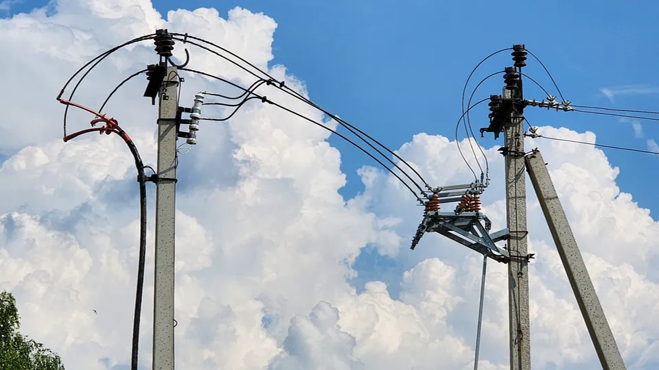 Фото: МедиаБанк Подмосковья/Дмитрий Алексеенко