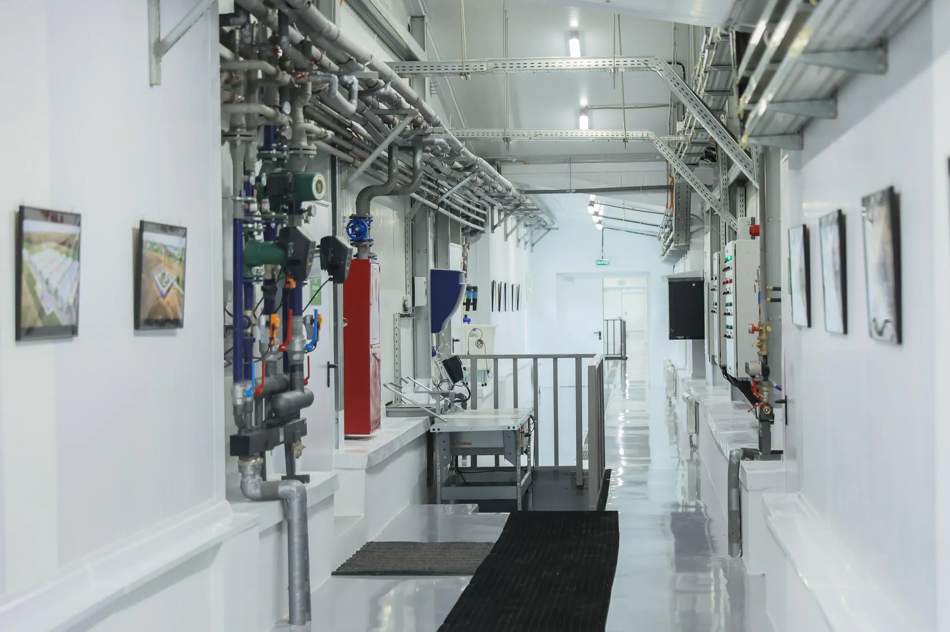 Фото: Константин Семенец