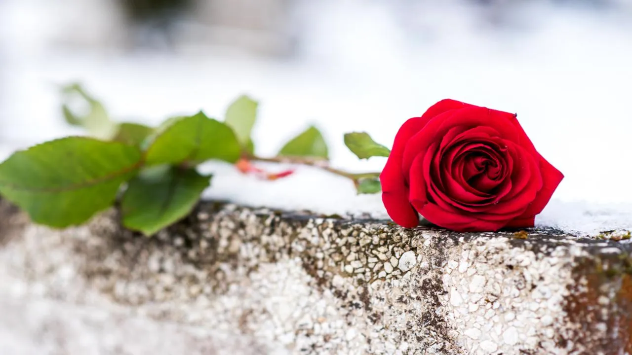 Без риска «заморозить судьбу»: как посещать кладбище зимой и не принести домой негатив