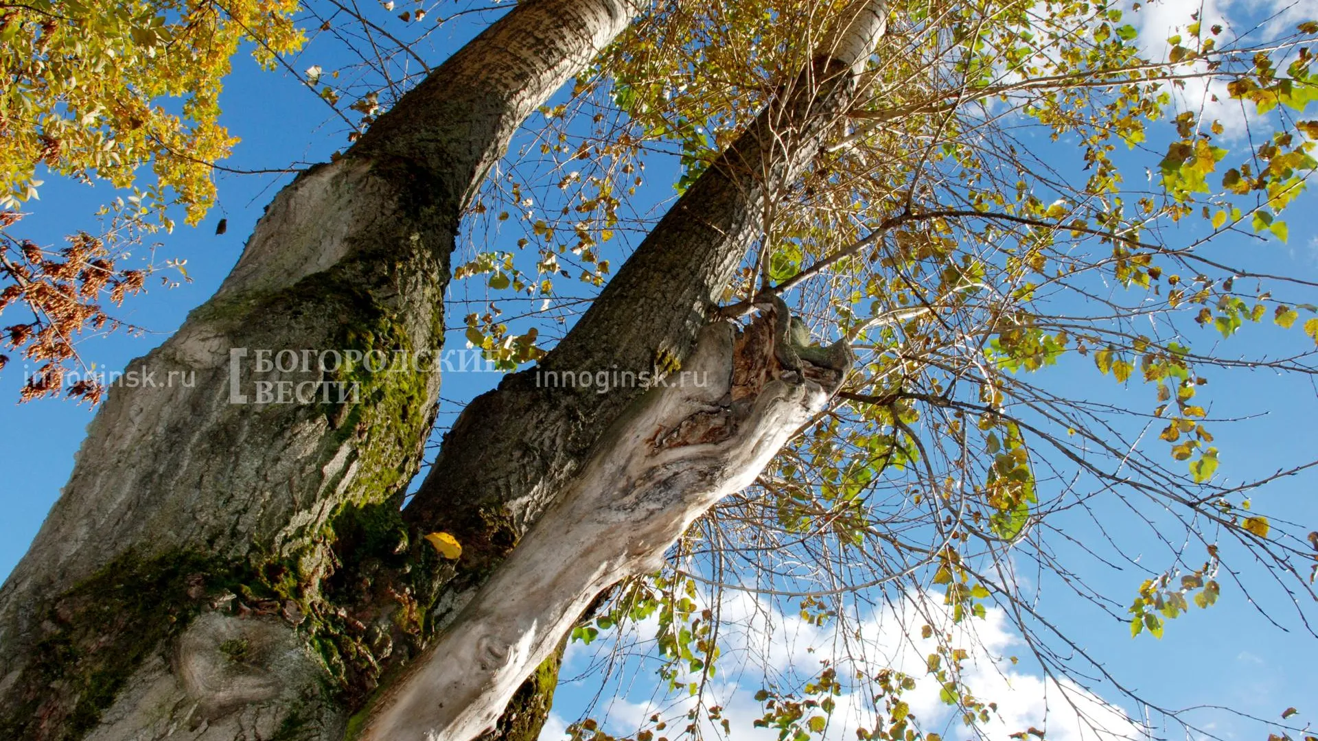 REGIONS/Александр Легкий