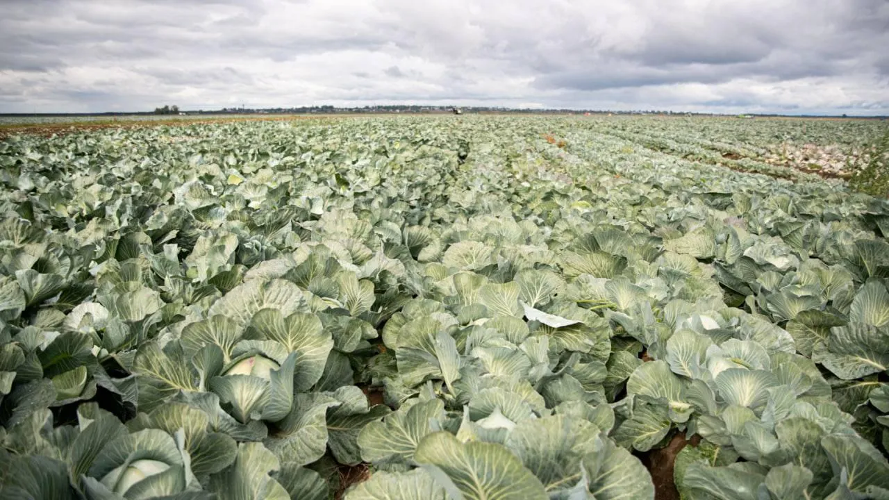 пресс-служба губернатора Московской области