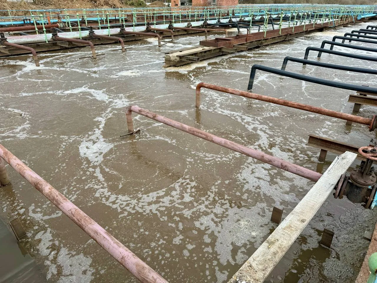 Фото: пресс-служба администрации г.о. Можайск