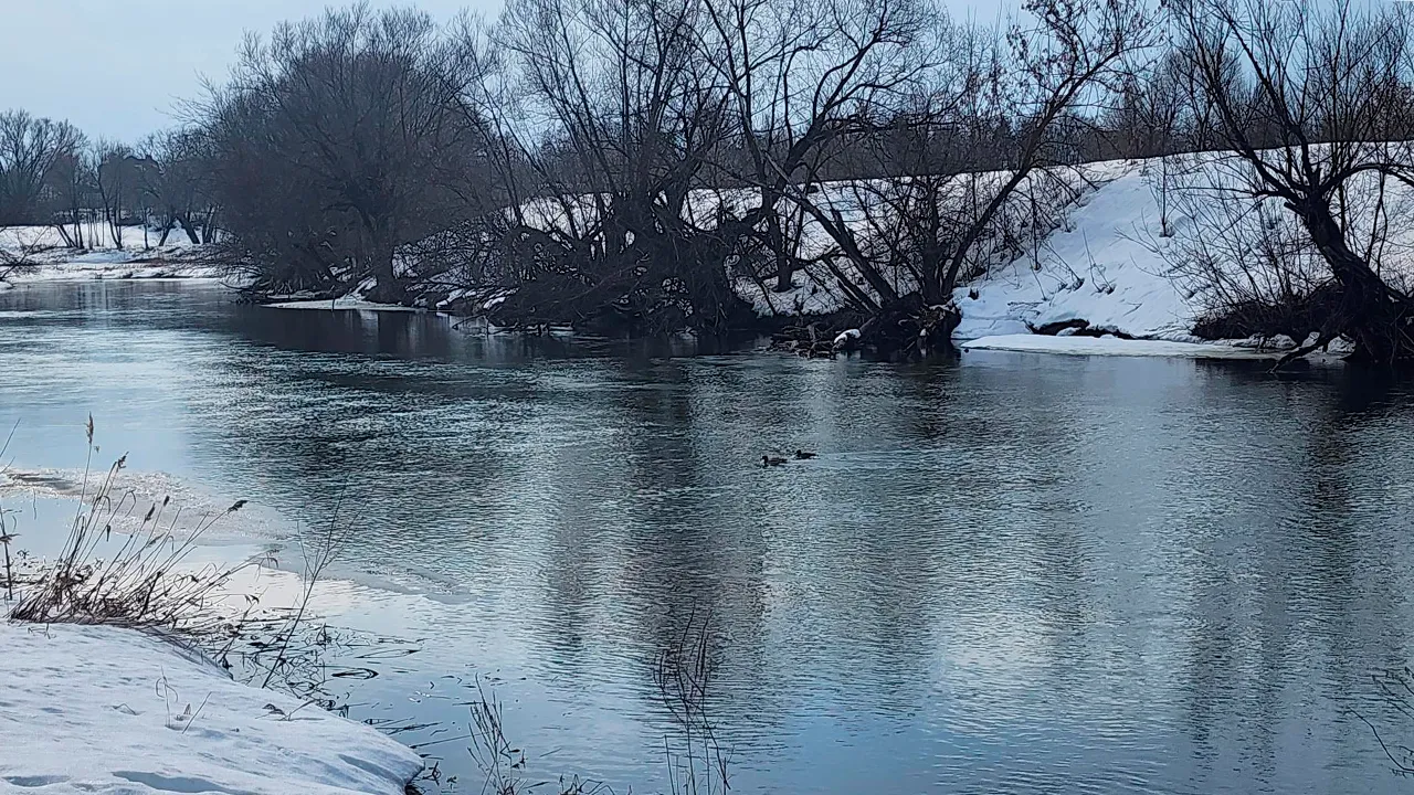 Маргарита Орлова