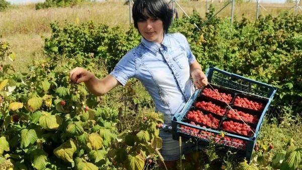 Алексей Сухоруков / РИА Новости