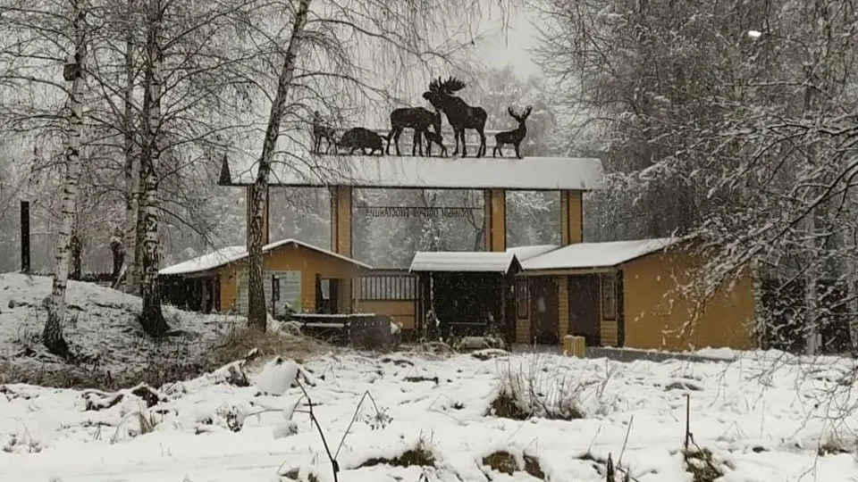 Фото: пресс-служба национального парка «Лосиный остров»