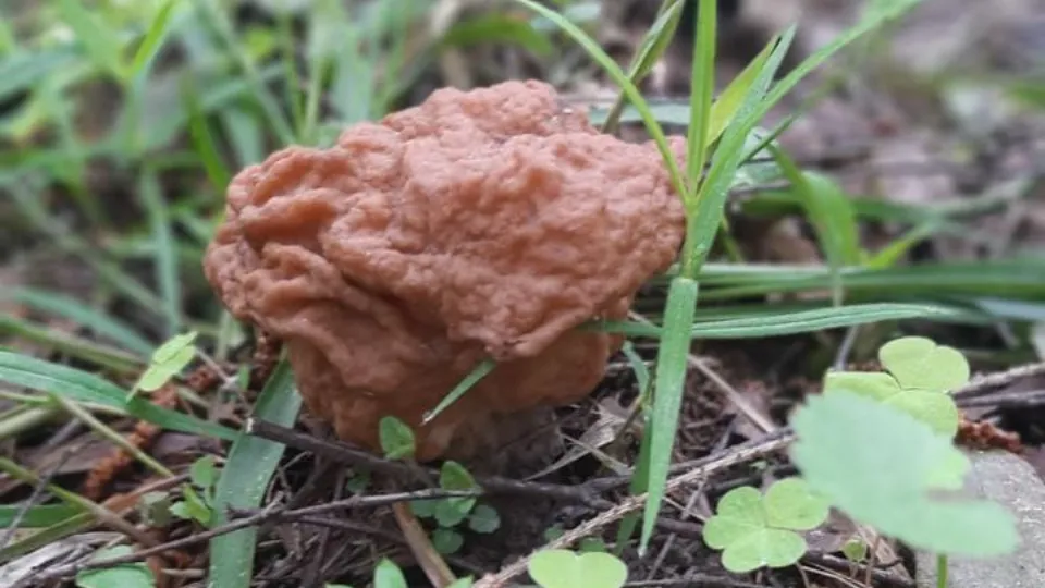 Фото: личный архив Антона Хазина