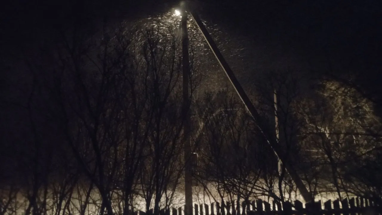 Фото: REGIONS/Василий Тремасов