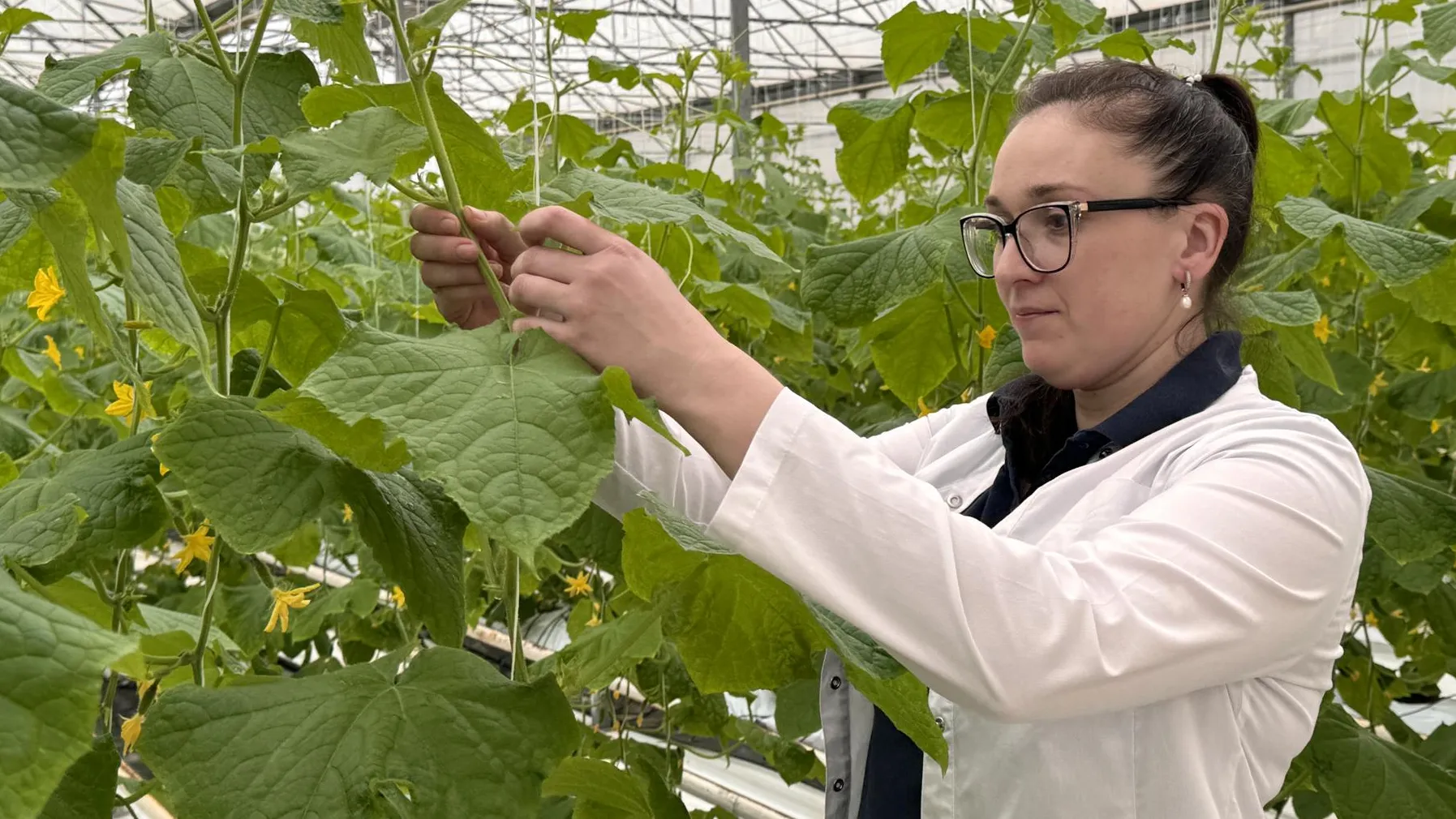 Автор: Мария Шматкова