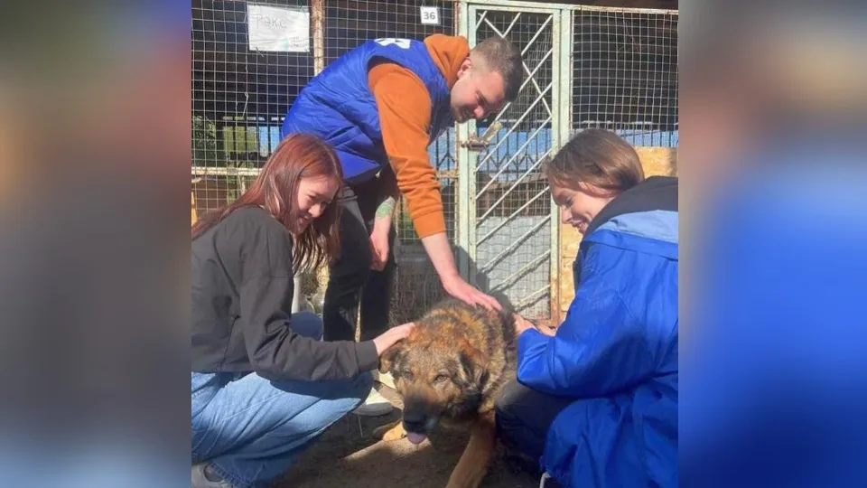 Фото: Пресс-служба администрации городского округа Лобня