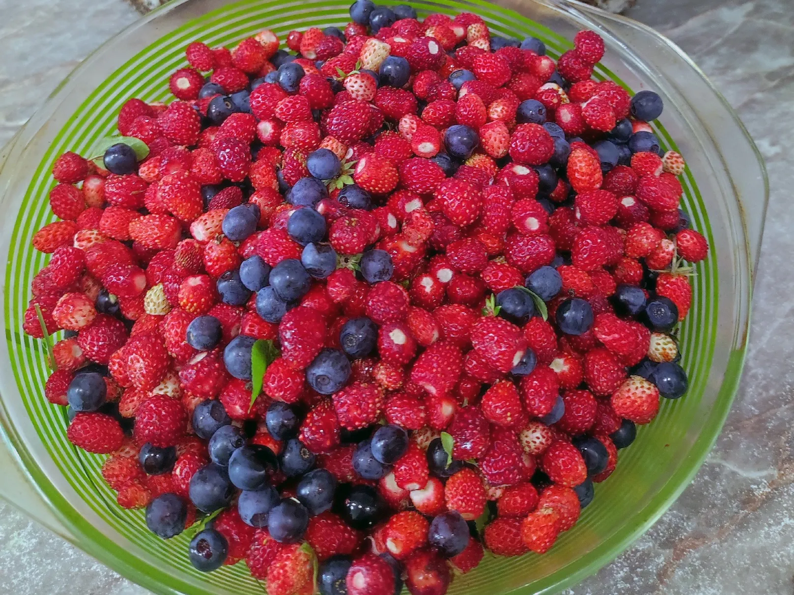 Фото: Грибы в Подмосковье 2024