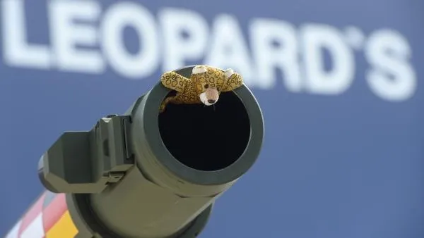 Украинские танки Leopard нанесли удар по ФРГ