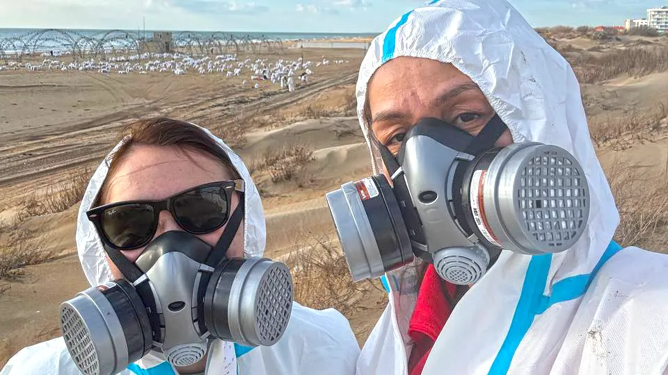 Фото: МедиаБанк Подмосковья/Екатерина Фирсанова