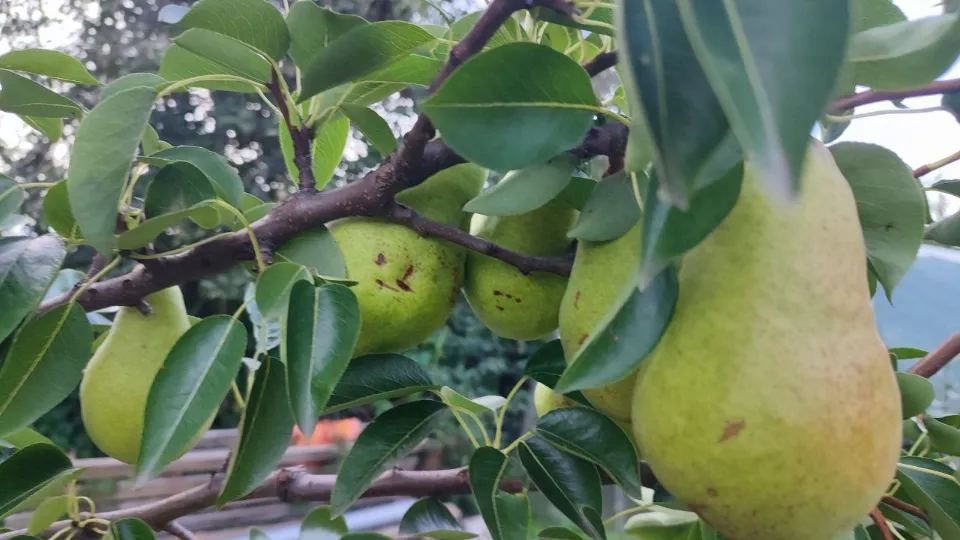 Фото: REGIONS/Елена Забелина