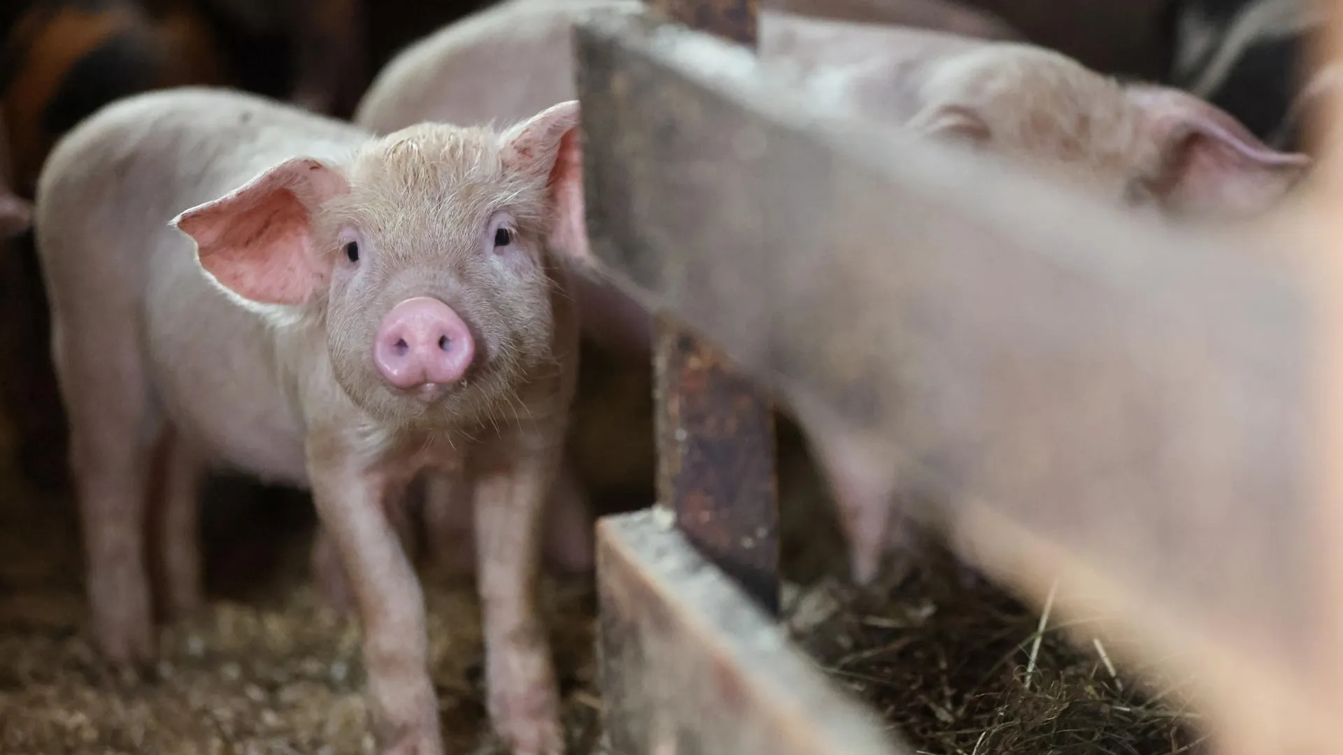 Belkin Alexey/news.ru