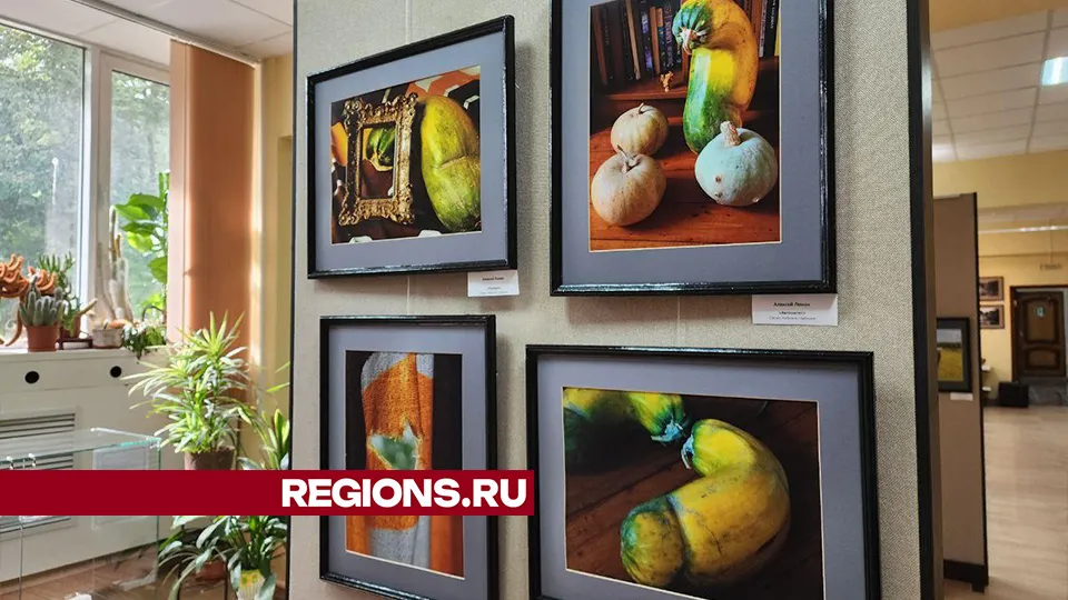 Фото: REGIONS/Мария Панина