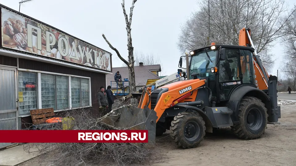 Фото: Владимир Останин