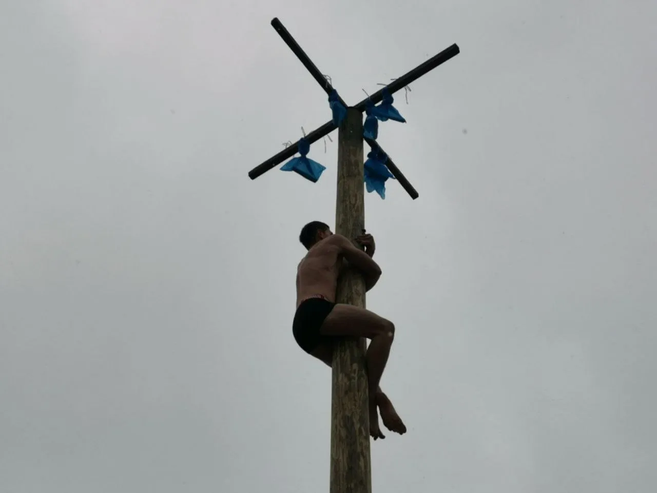 Фото: t.me/park_suncoast