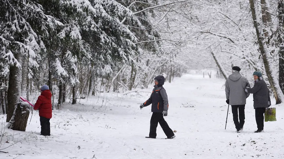 Фото: медиасток.рф
