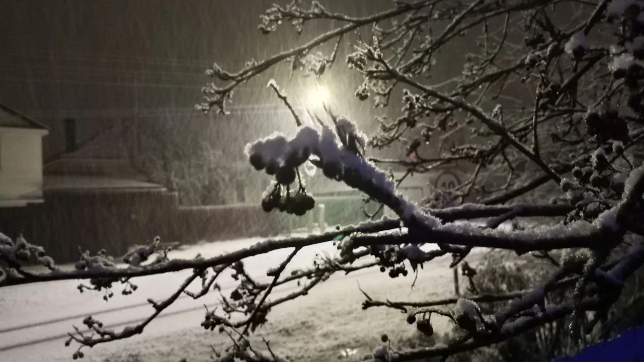 Фото: REGIONS/Василий Тремасов