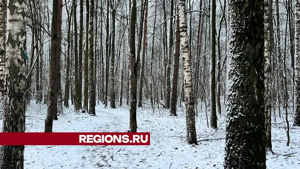 Фото: REGIONS/Елена Фурман