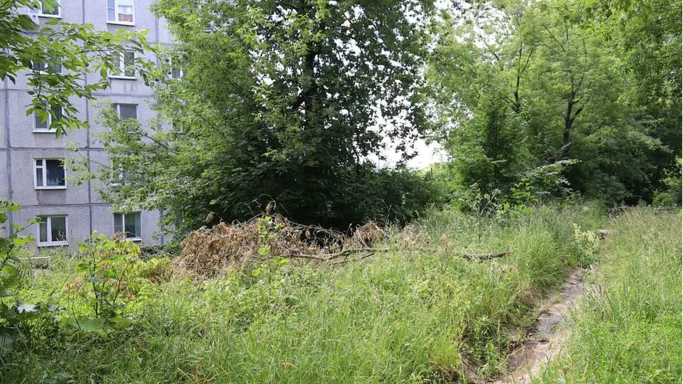 Фото: t.me/Irina_Paradovskaya