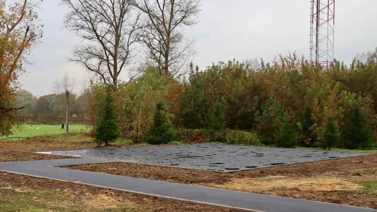 Фото: пресс-служба администрации г.о. Ступино