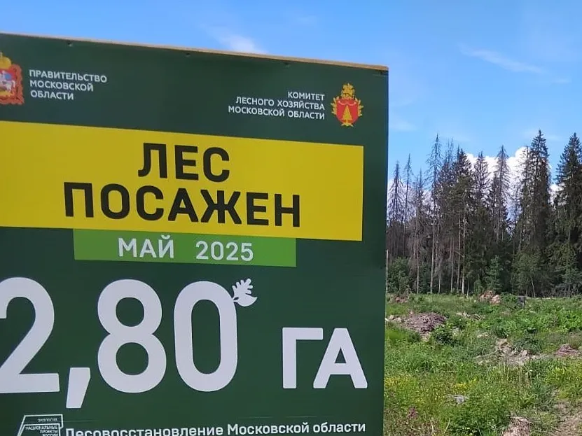 Фото: ГКУ МО «Мособллес»&nbsp;