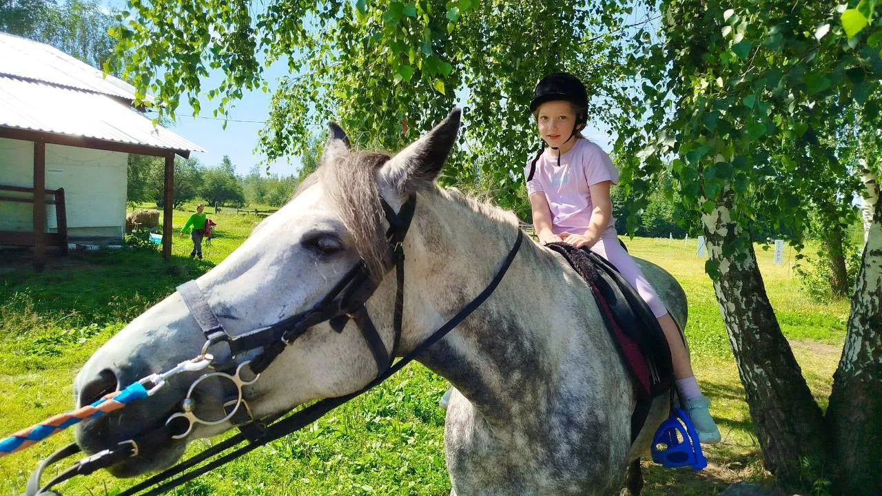 Фото: t.me/kultura_voskresensk