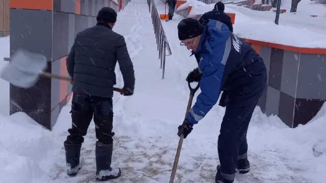 фото: ТГ-канал "Городской округ Лотошино"