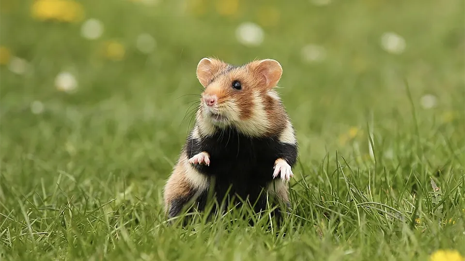 Фото: freepik.com