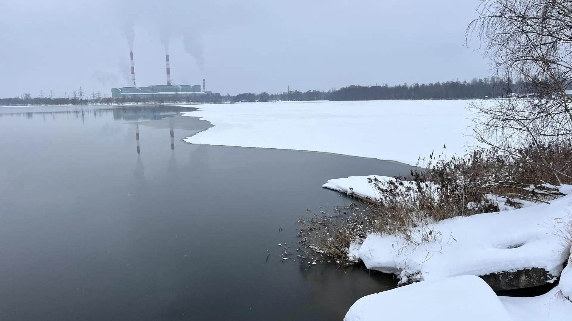 Фото: МедиаБанк Подмосковья/Ангелина Стельмух