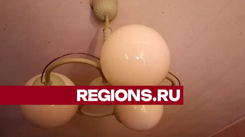 Фото: Олег Книжник