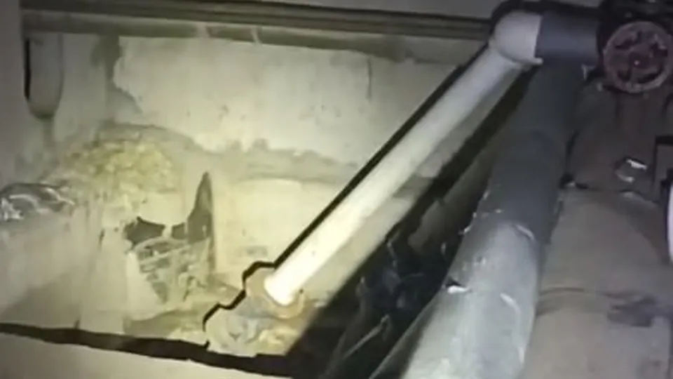 Фото: МЦУР Дзержинский