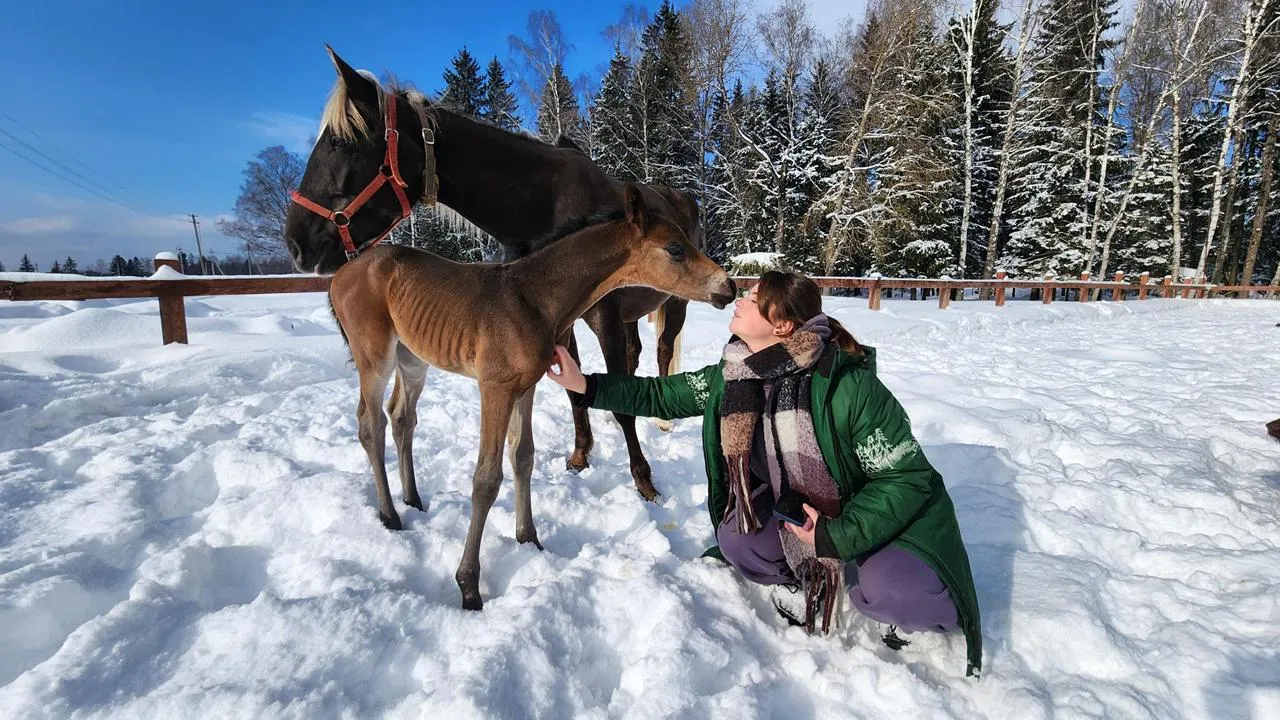 Медибанк Подмосковья/Екатерина Данилина