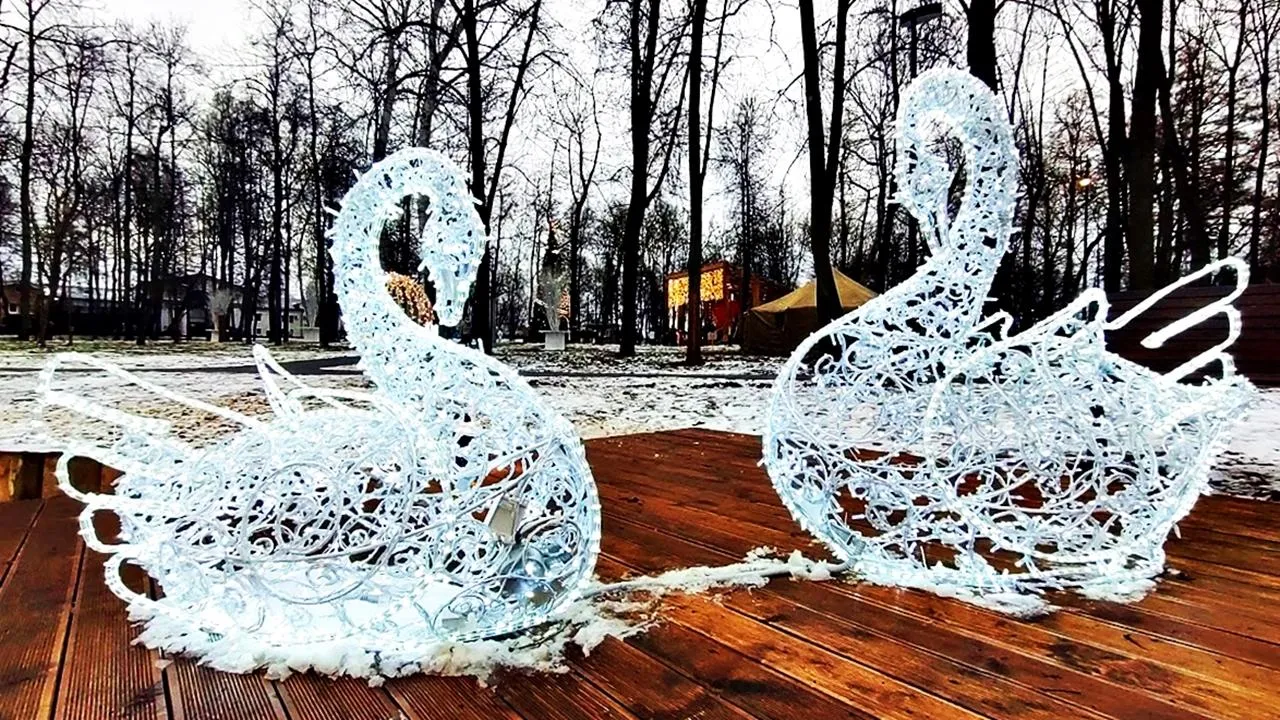 REGIONS/Алексей Селиверстов