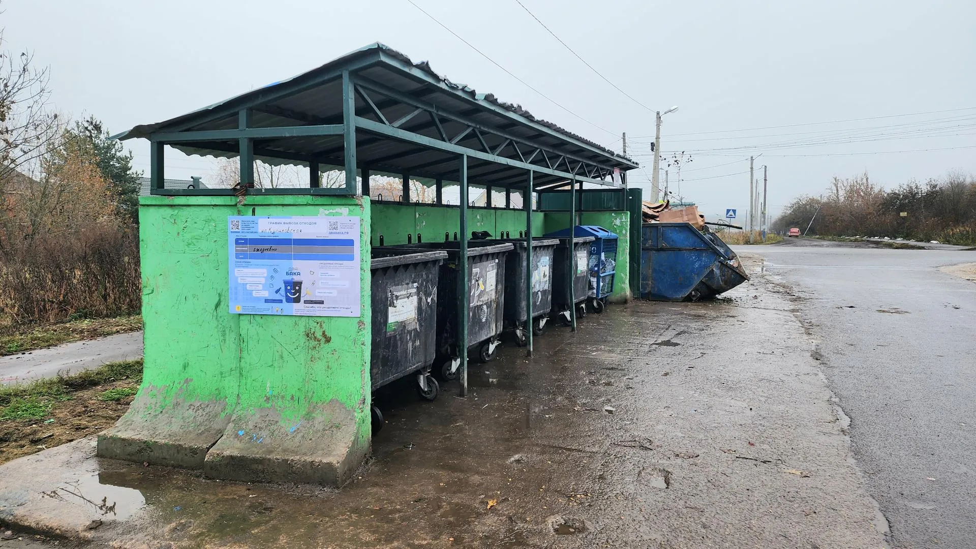 Анастасия Сараева