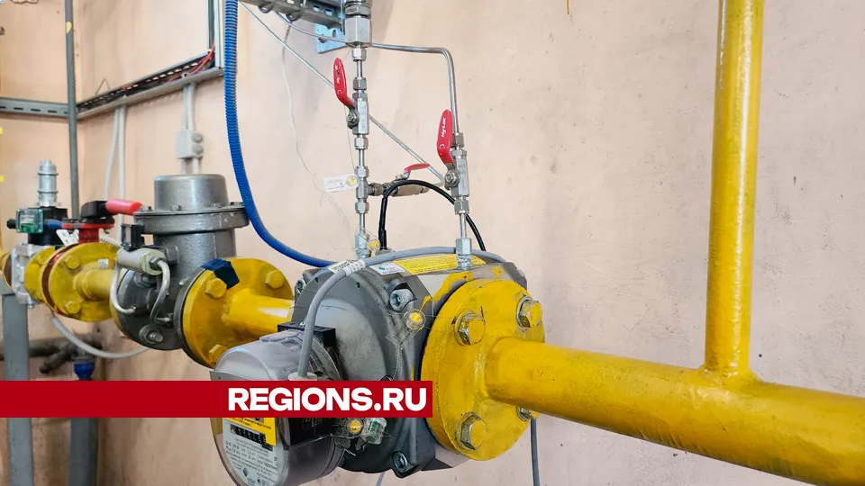 Фото: Юлия Андросова