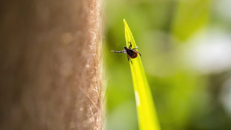 Фото: istockphoto.com