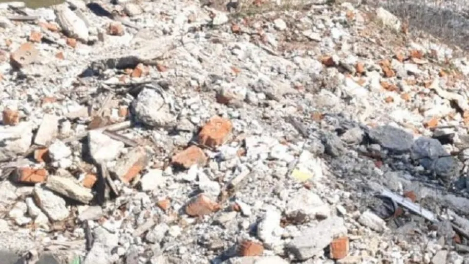 Фото: Министерство экологии и природопользования Московской области