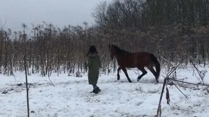 equinetourism.ru