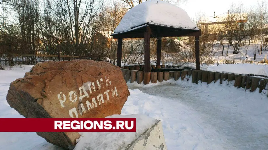 Фото: Валерия Тингаева