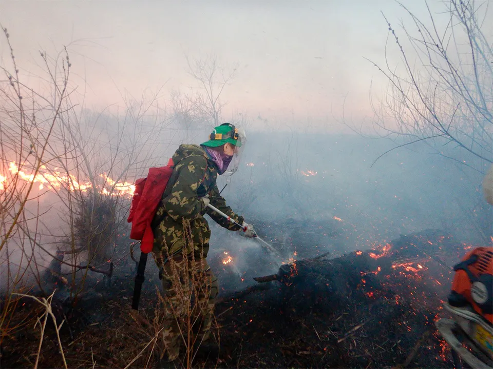 Фото: vk.com/Москворецкий пойменный заказник