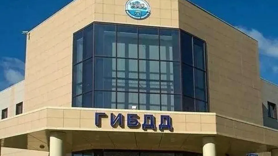 Фото: пресс-служба администрации Одинцовского г.о.