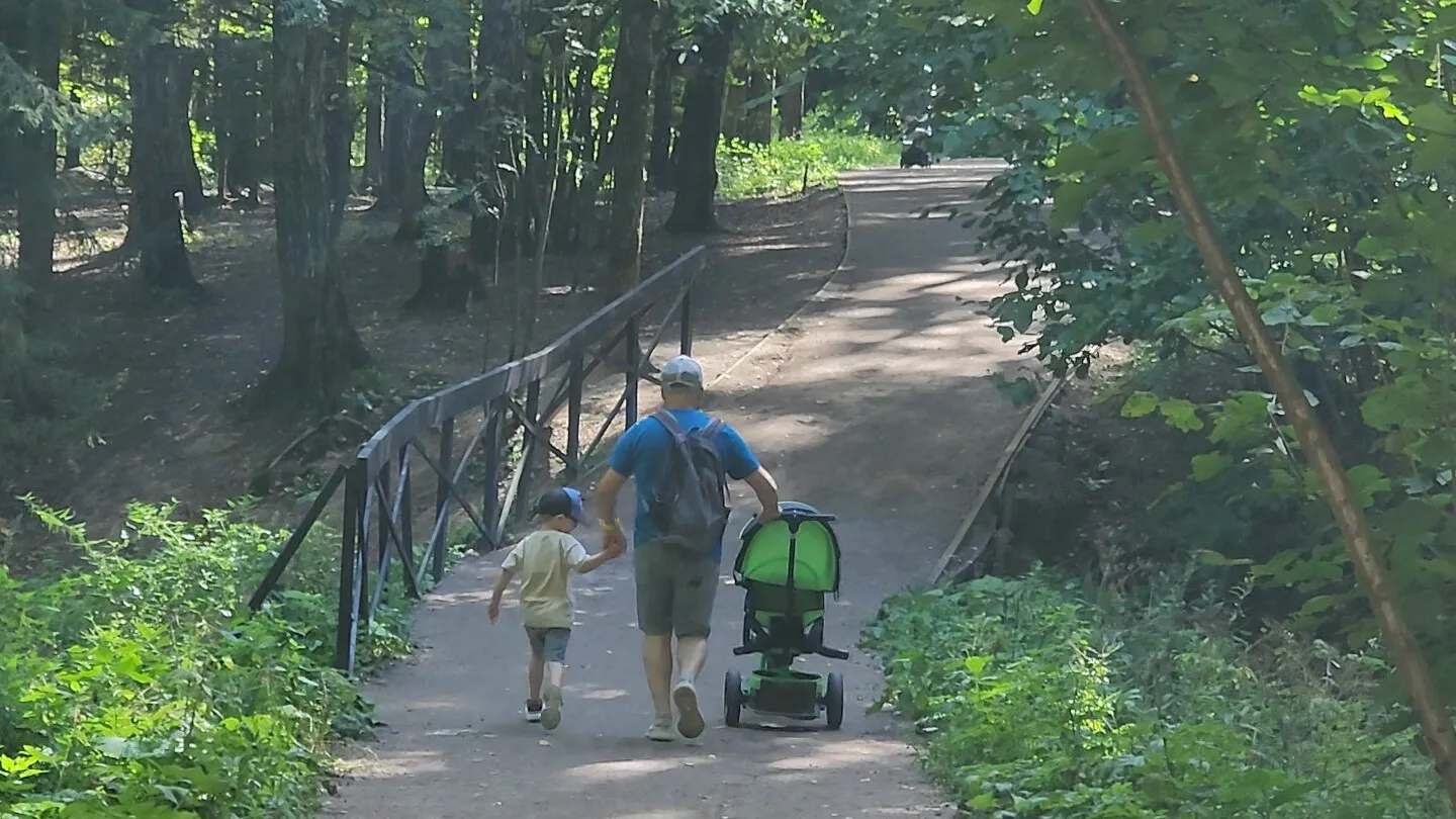 Фото: МедиаБанк Подмосковья/ Никита Сморкалов