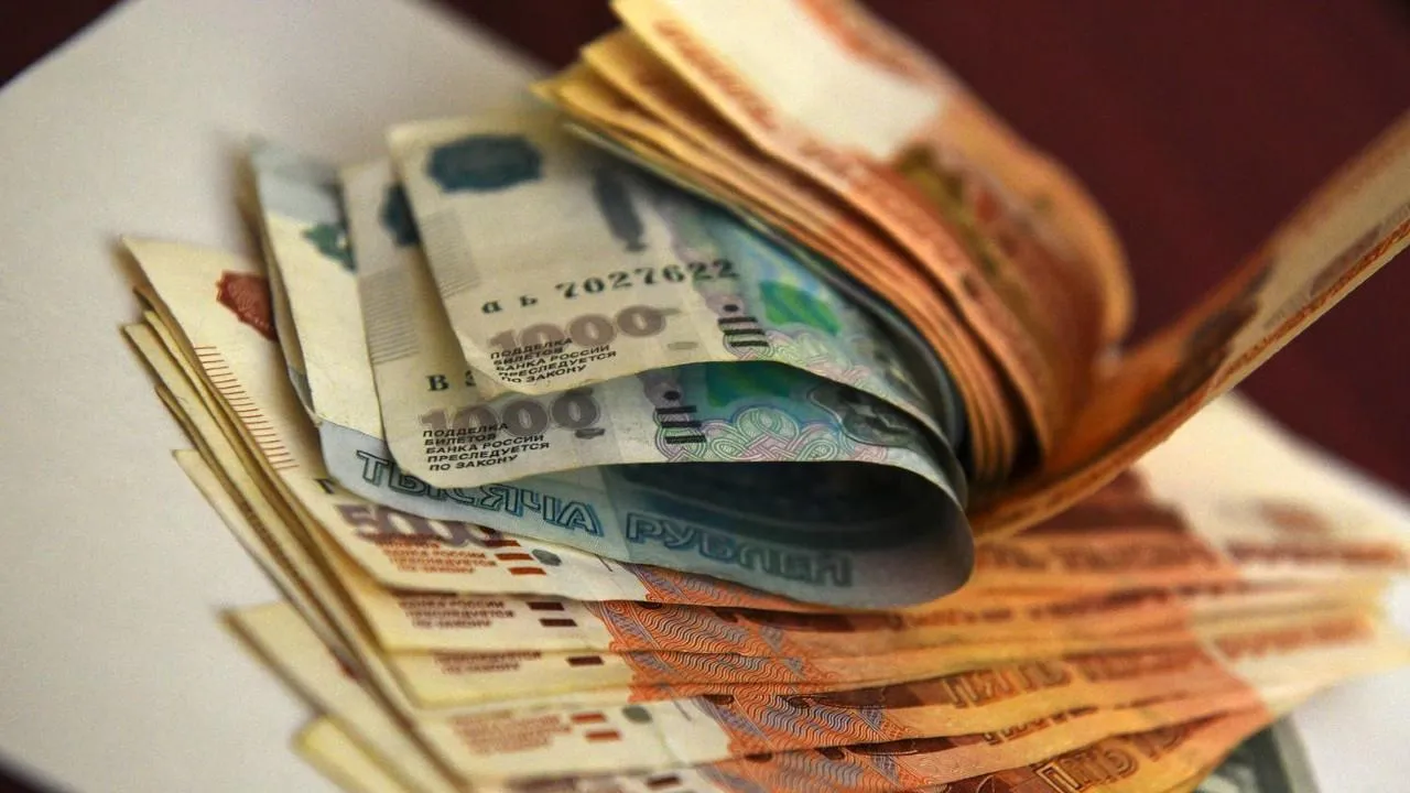 Свыше 400 млн руб. вместо земли выплатили участникам СВО и семьям погибших бойцов в Подмосковье
