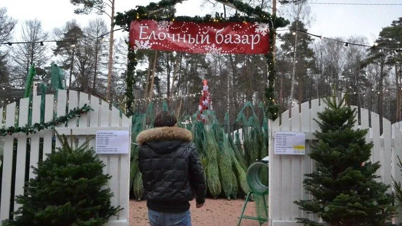 Тридцать елочных базаров откроются в Балашихе