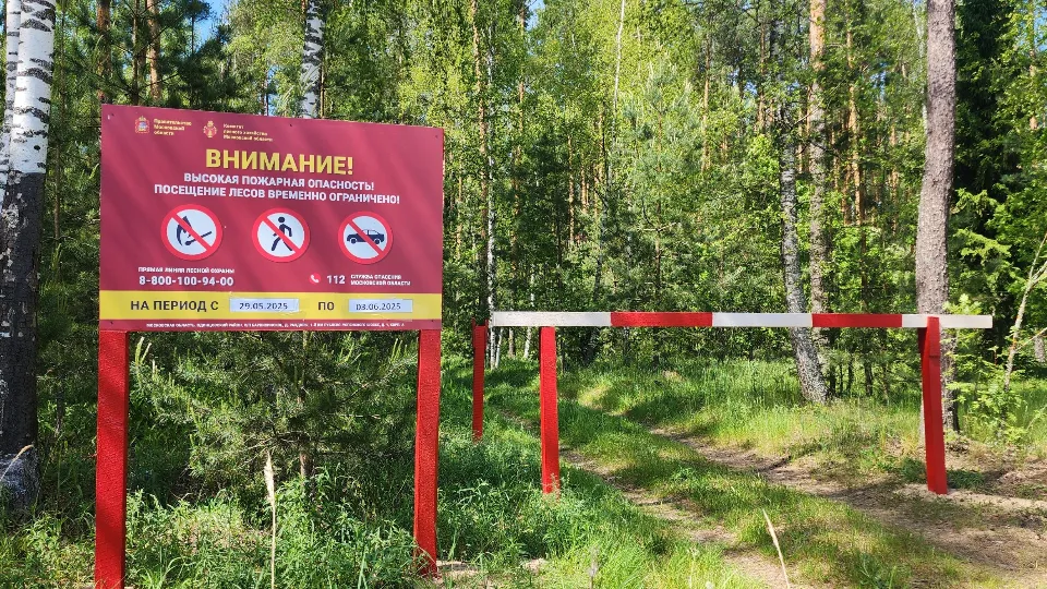 Фото: Комитет лесного хозяйства Московской области