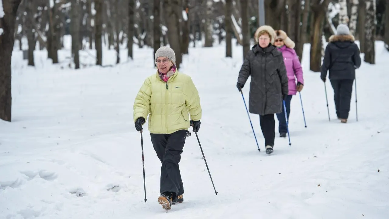медиасток.рф