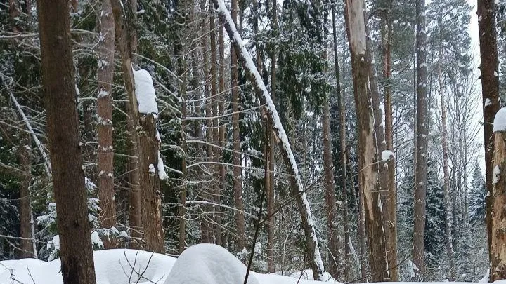 пресс-служба администрации городского округа Коломна